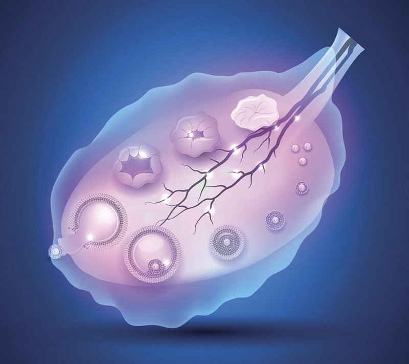 〖二代试管助孕挑选Y精子,成功率如何？专家解读技术细节与注意事项〗